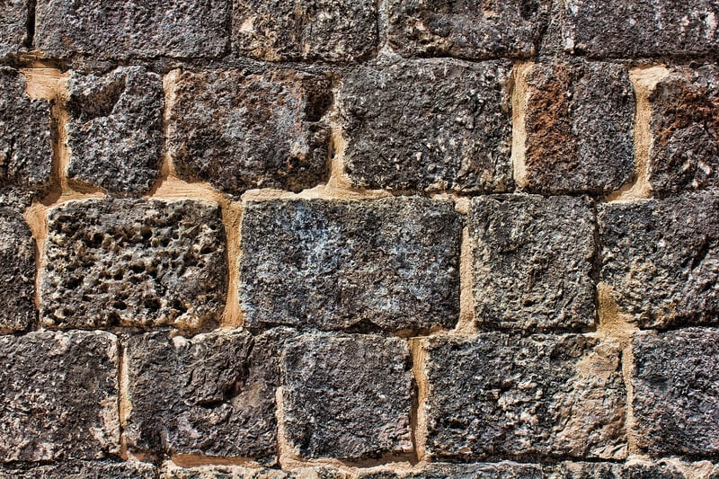 Wall-Mounted Gardens